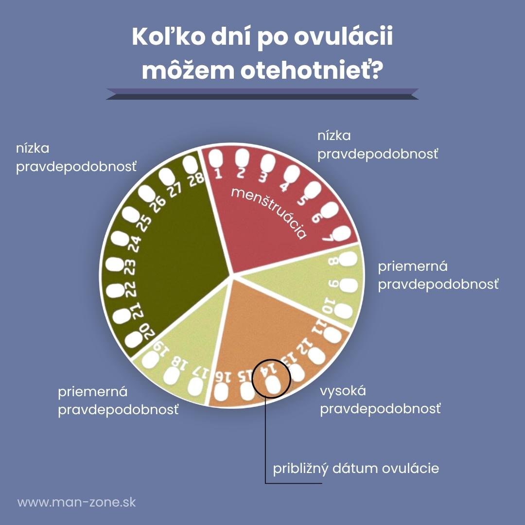 infografika-sanca-na-otehotnenie-v-ramci-menstruacneho-cyklu